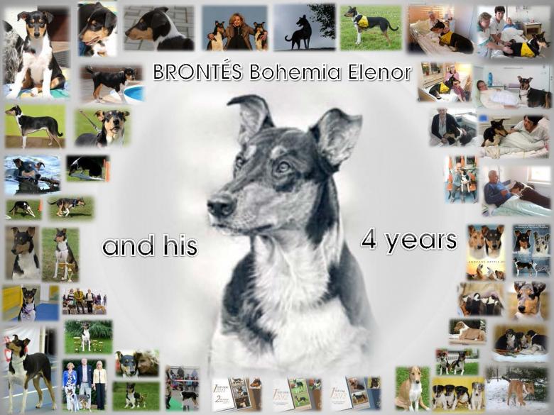 Brontés and his 4 yers