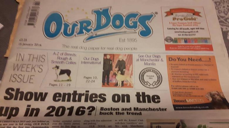 Brontík v anglických novinách Our Dogs