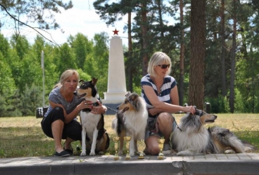 International dog show - two days in MINSK-Belorusia