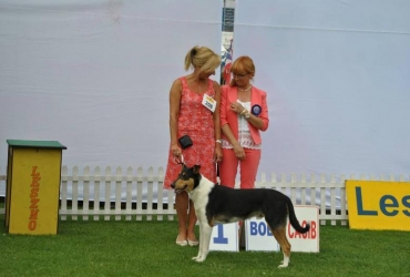 International dog show Leszno