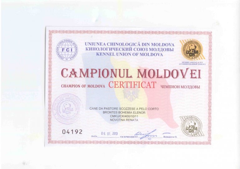 MOLDAVIA Champion