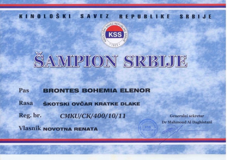 SRBSKO Champion