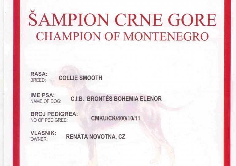 Montenegro Champion