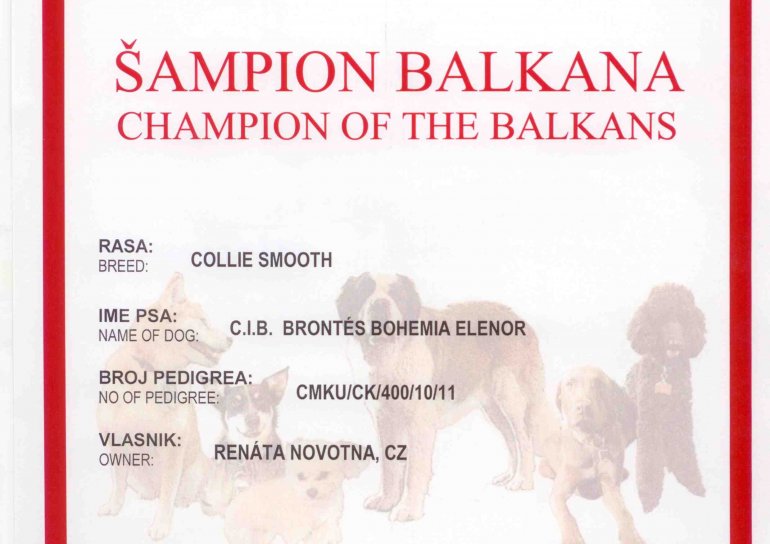 Champion of the BALKANS